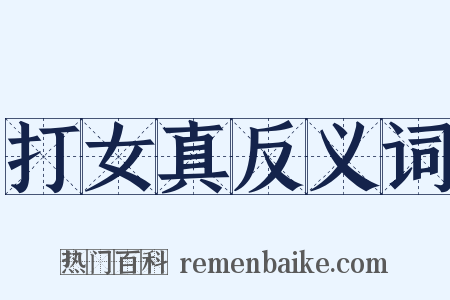 打女真反义词是什么意思的图片